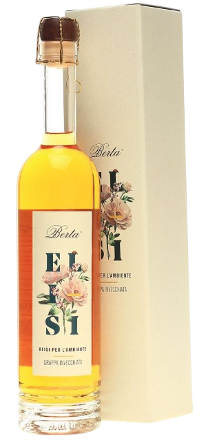 Berta Grappa Elisi