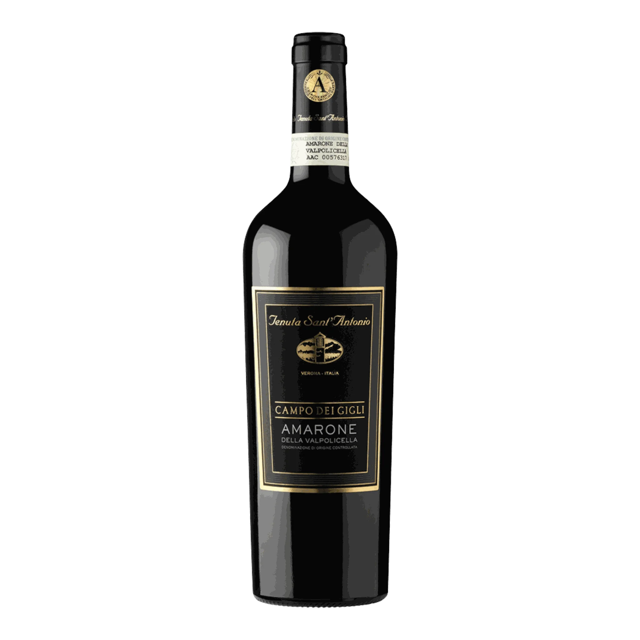 Tenuta Sant’Antonio Amarone Della Valpolicella Campo Die Gigli 2017 Flasche