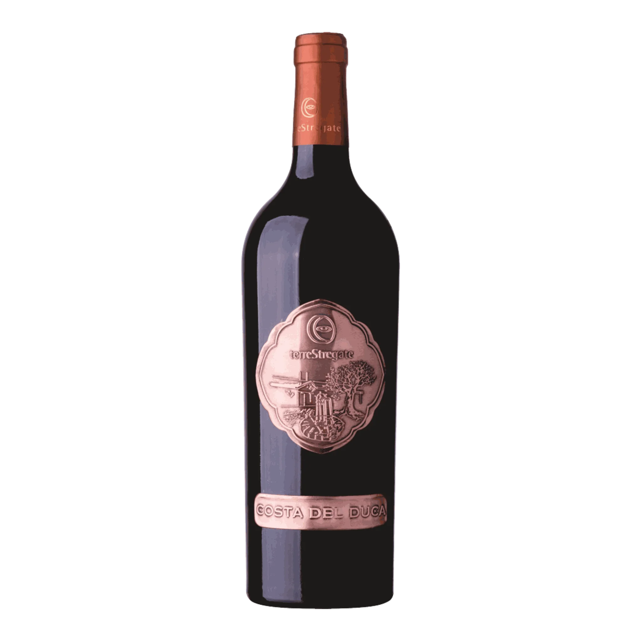 Rote Weinflasche von Terre Stregate Aglianico DOP Costa Del Duca 2014