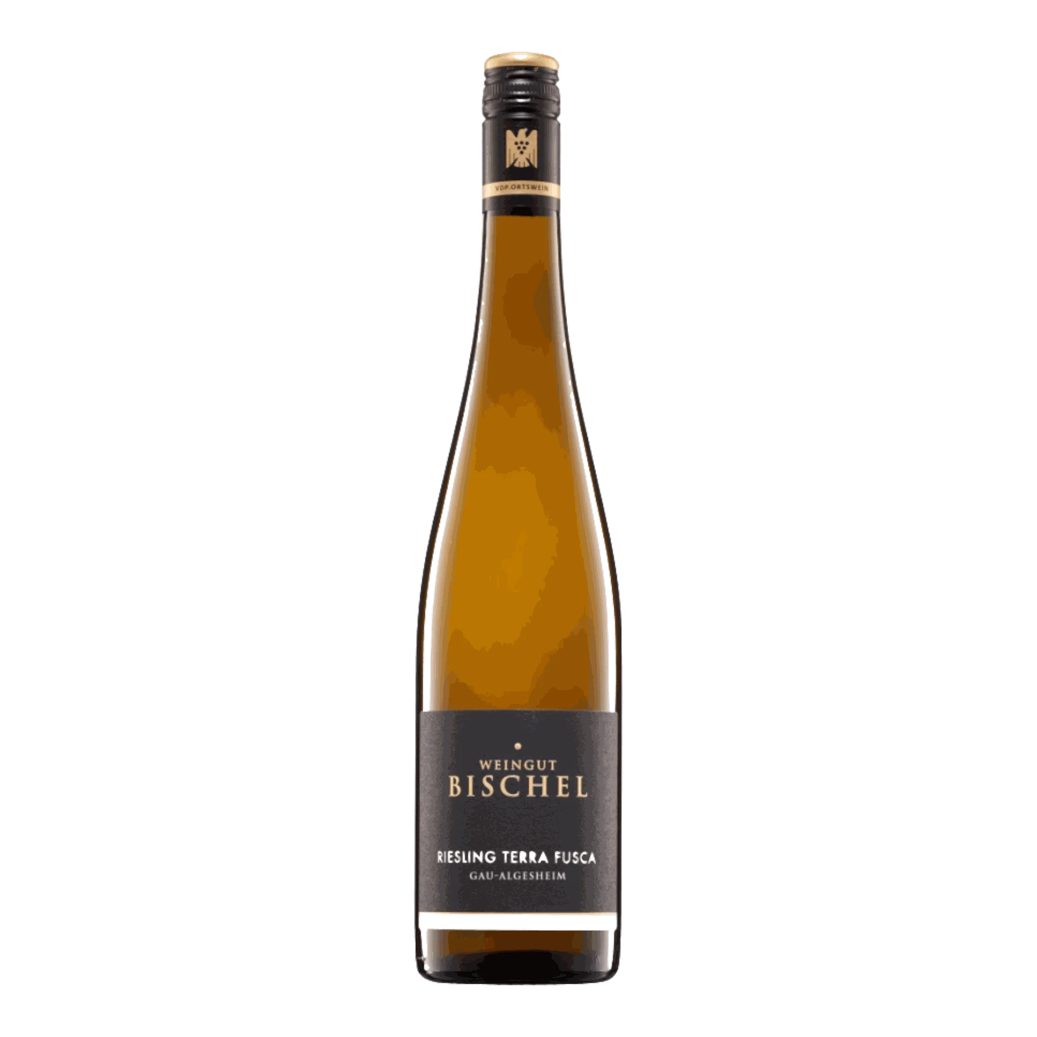 Flasche Weißwein Weingut Bischel Riesling Trocken Terra Fusca 2020 für jeden Anlass