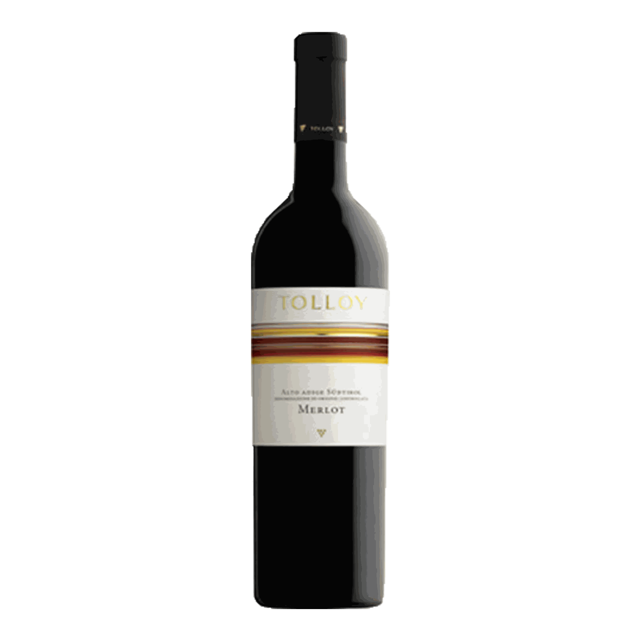 Mezzacorona Merlot Tolloy 2014 wine bottle with ruby color and herbal notes.