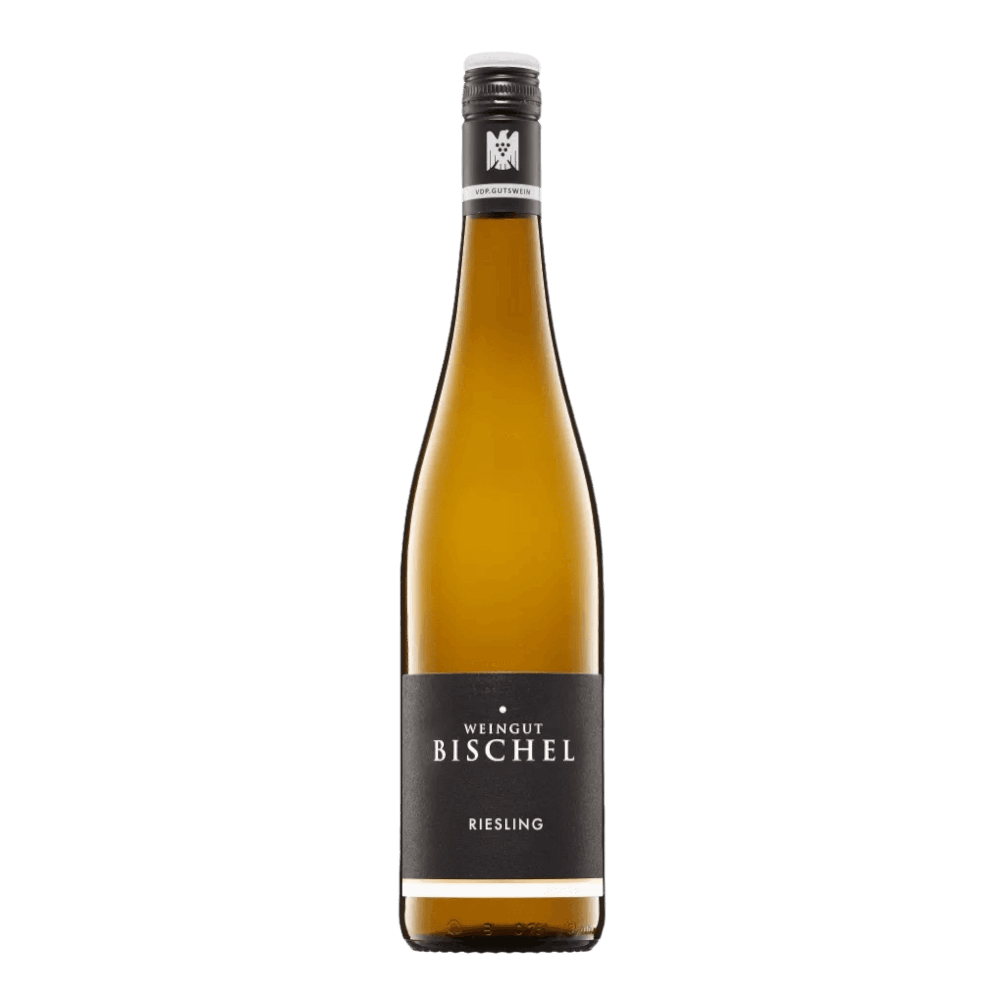 Weingut Bischel Riesling Trocken 2021 wine bottle with black label.