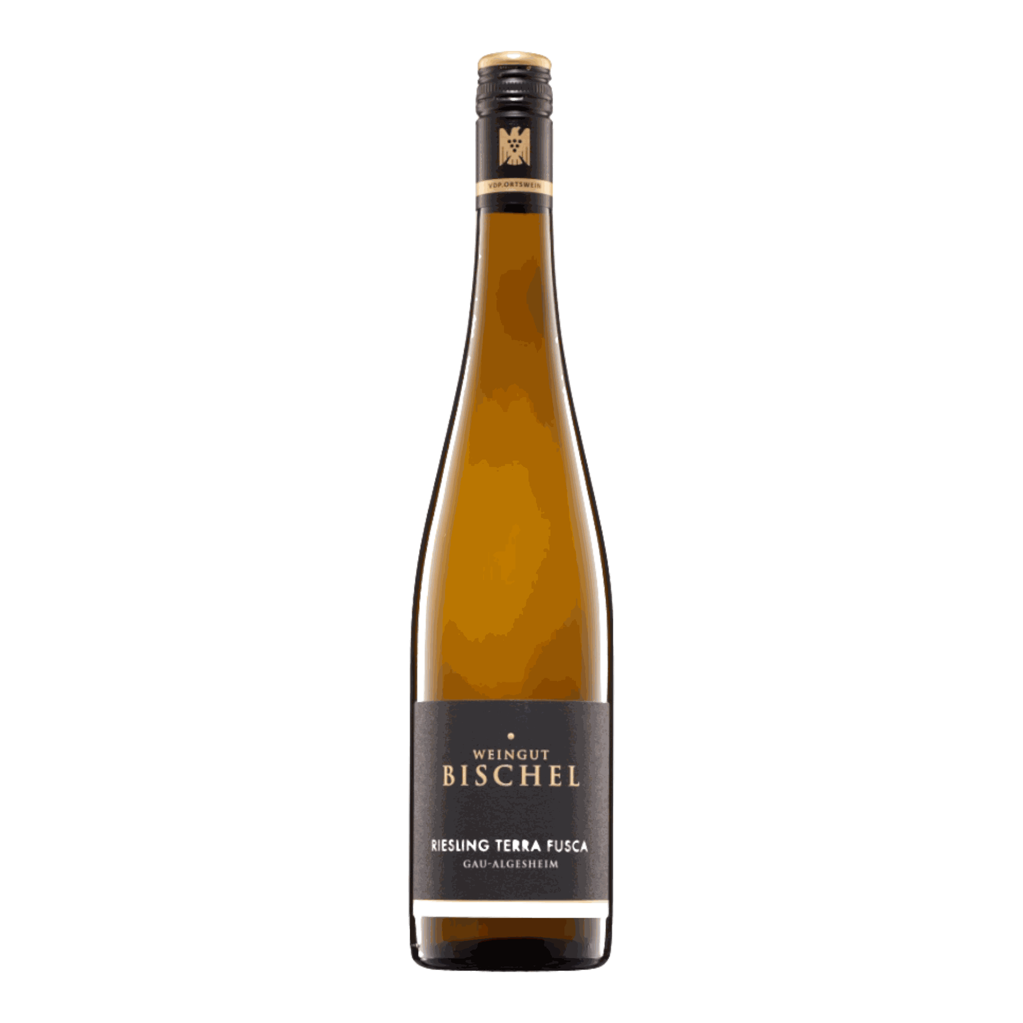 Weingut Bischel Riesling Trocken Terra Fusca 2020 wine bottle with a dark label.