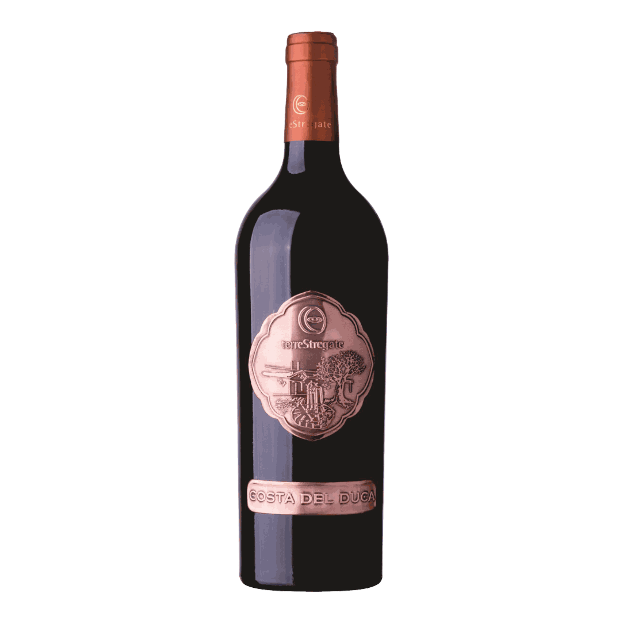 Terre Stregate Aglianico Dop Costa Del Duca 2014 wine bottle with red hue and refined aroma notes.