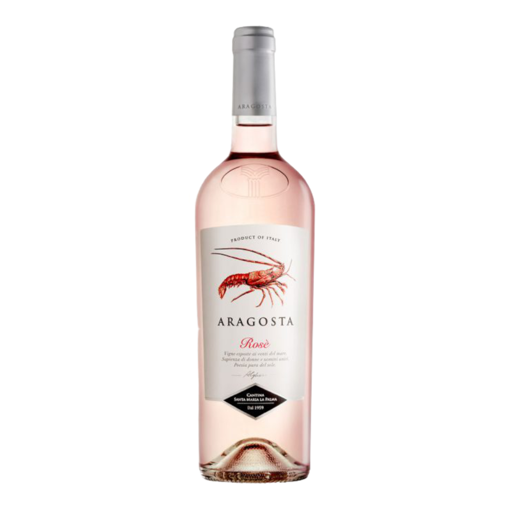Santa Maria La Palma Aragosta Rose 2025