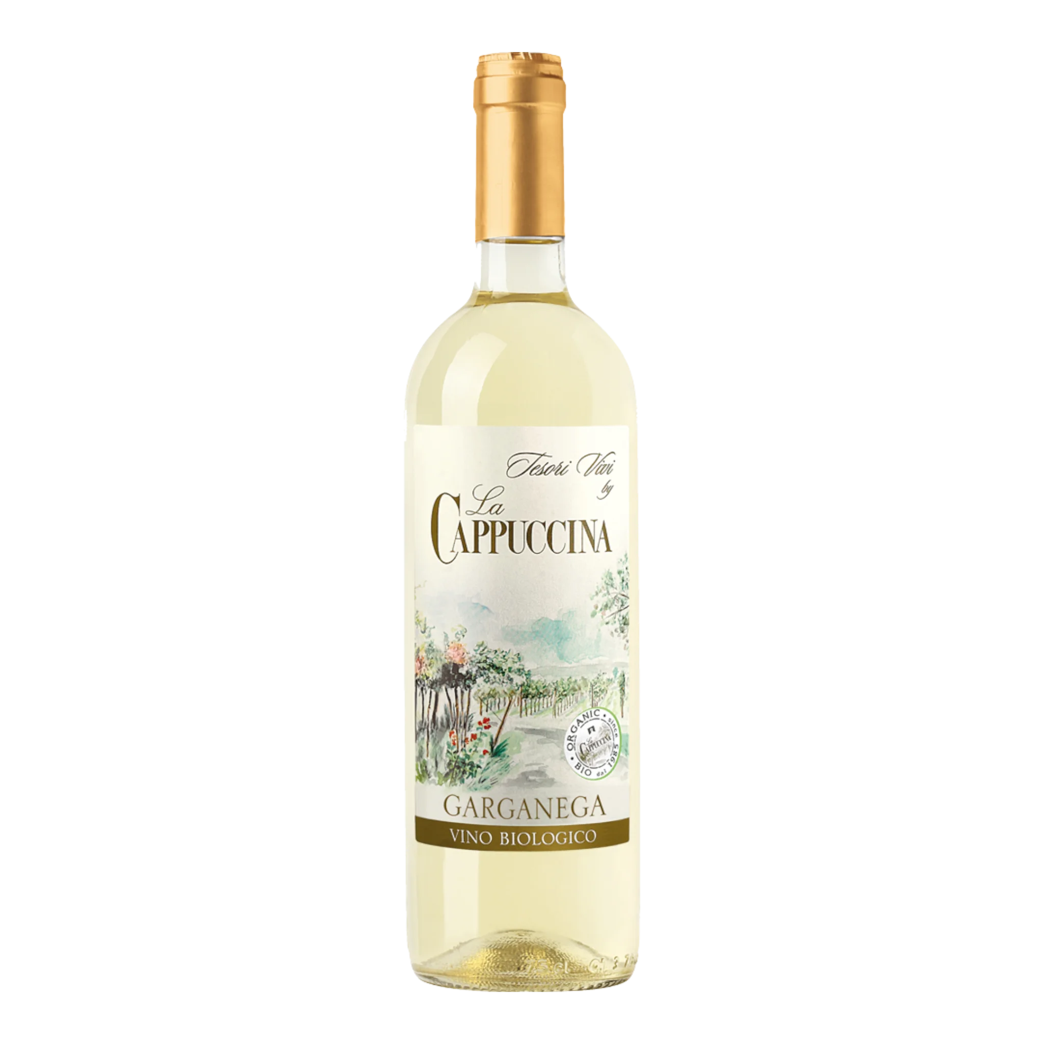 Flasche Weißwein La Cappuccina Garganega 2024, italienischer Bio-Wein