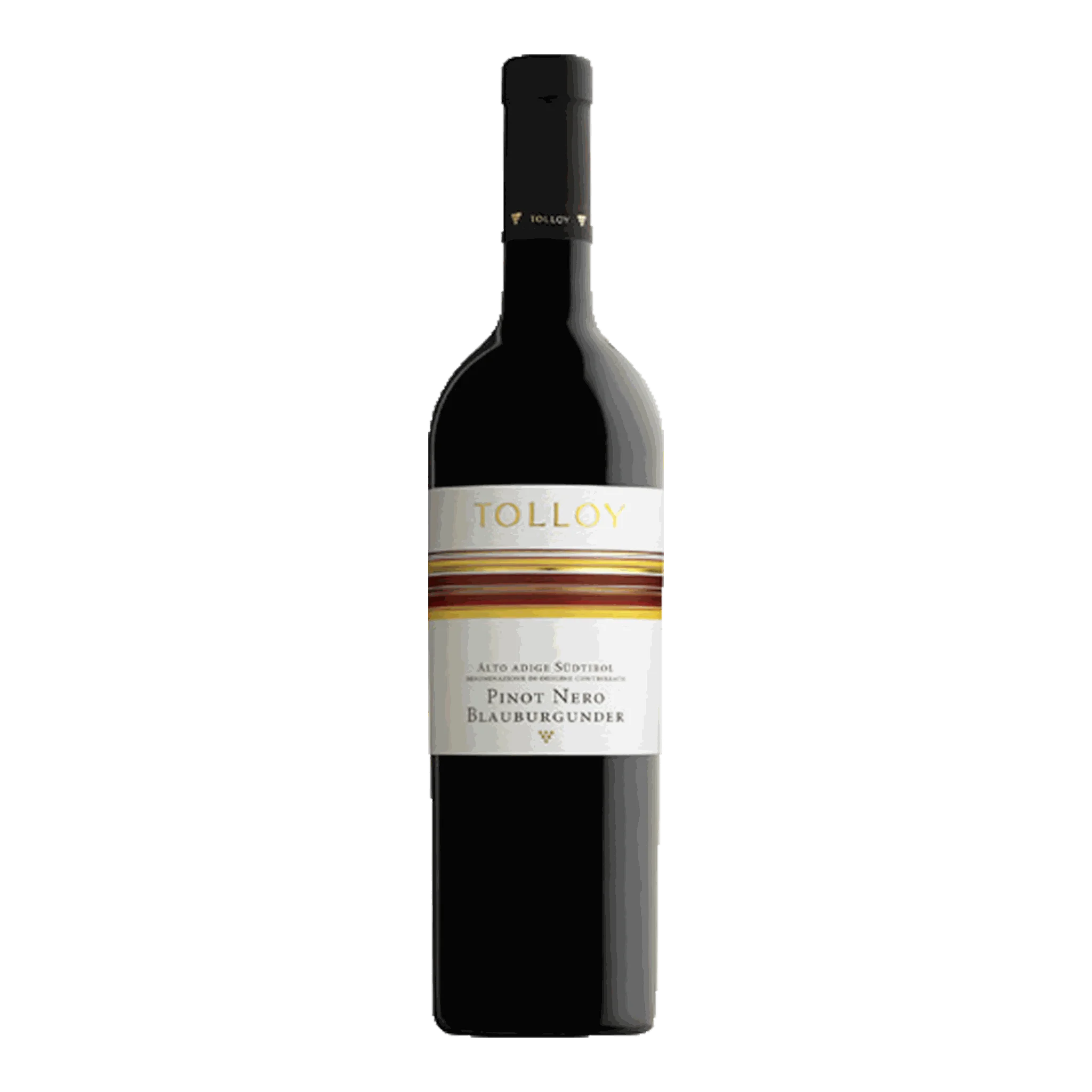 Flasche Mezzacorona Pinot Nero Tolloy 2021 mit granatroten Nuancen